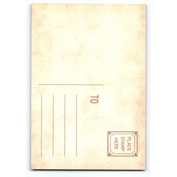 Vintage Halloween Skeleton Tree Photochrome Postcard 5.5x4 inches - Picture 2 of 2